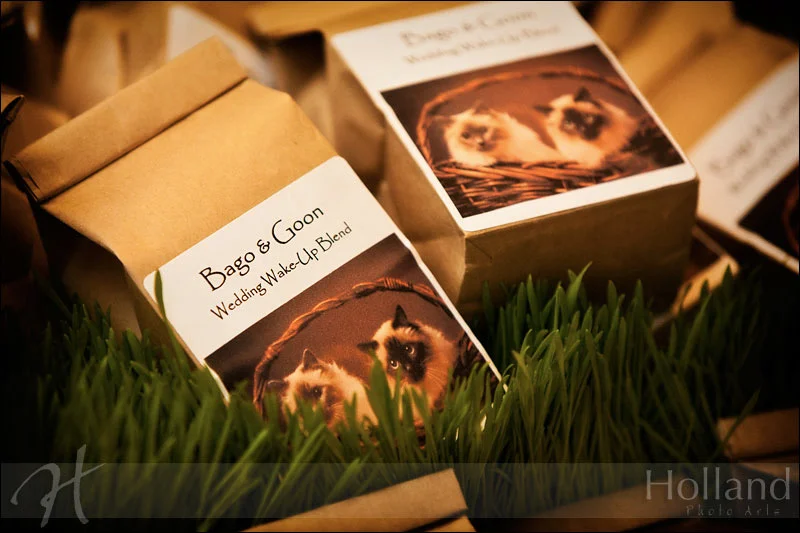  Photo: Holland Photo Arts 